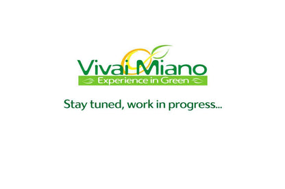 Pianta di Finger Lime Eremorange (Cespuglio - vaso 35)